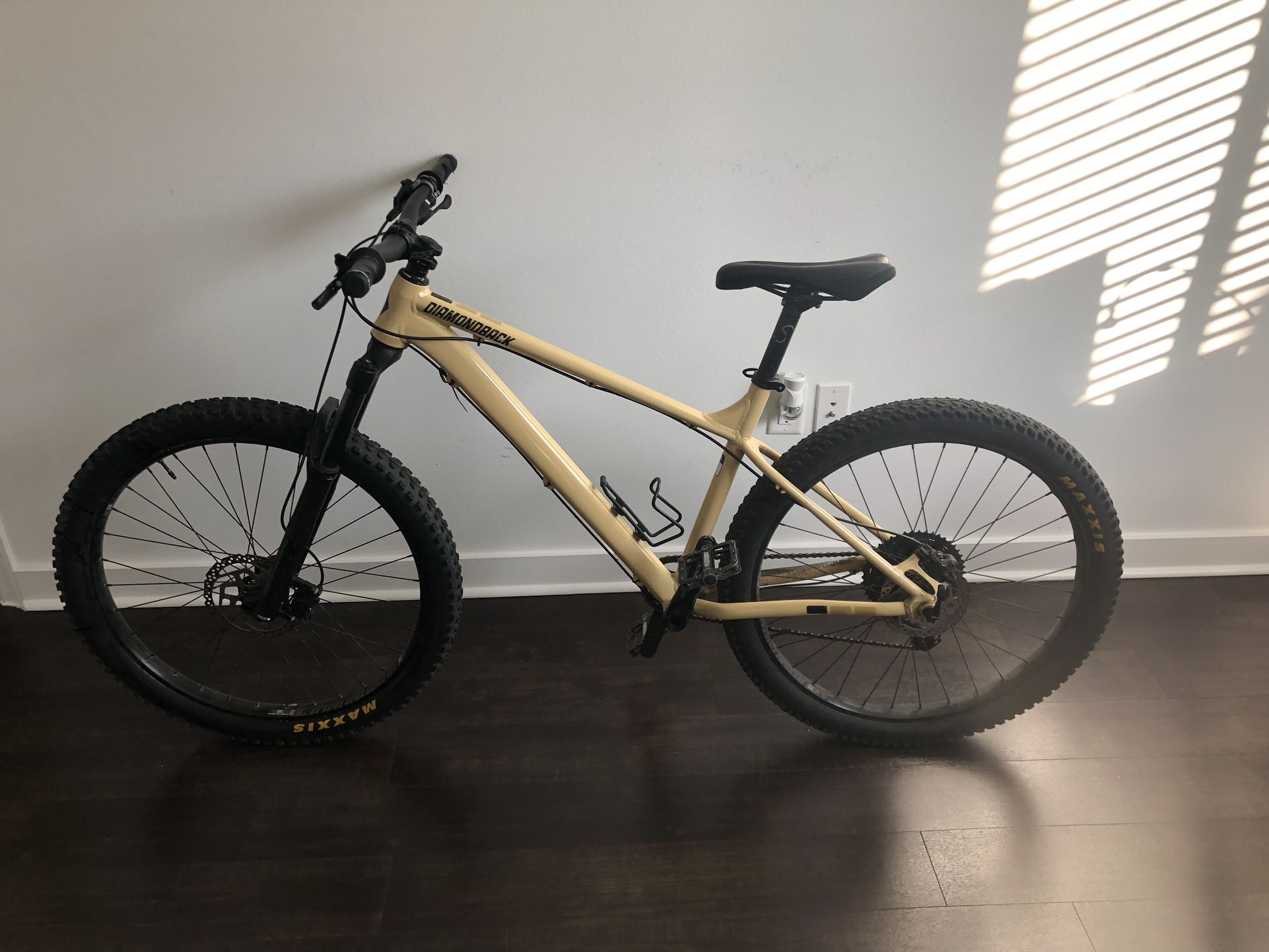Mountain Bike