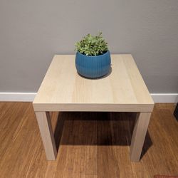 21.5" Square Coffee Table W/ Faux Plant
