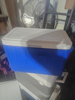 Cooler