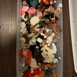 43 Beanie Babies