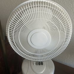 Fan