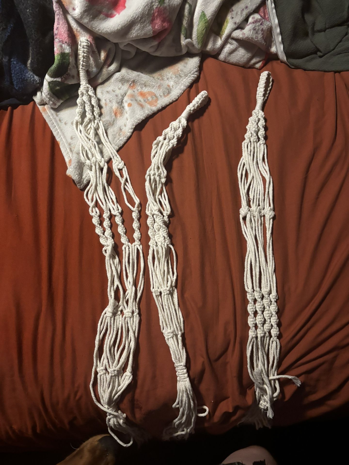 Boho ceiling plant holders