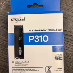 Crucial P310