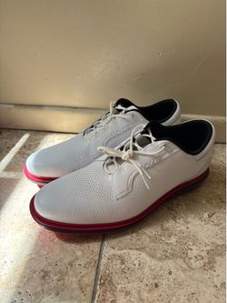Air Jordan men’s golf shoes size 12