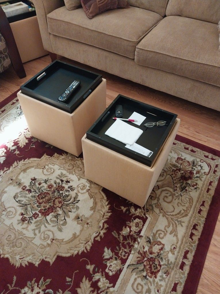 Two Storage Ottomans With Tray