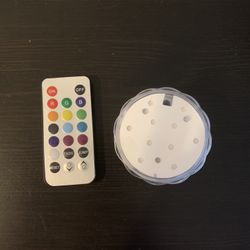 Submersible LED Light
