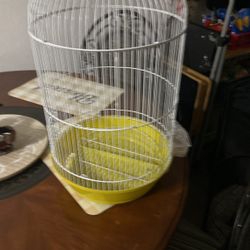 Bird Cage