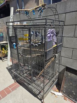 Cage