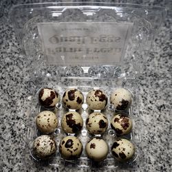 Quail Eggs / Huevos De Codorniz 