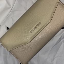 Valentino Purse and Matching Wallet