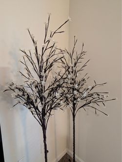 Lamps for sale
