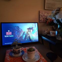 Brand New Demure, Classy TV. (New.) (Amazon Fire.) (24in.)