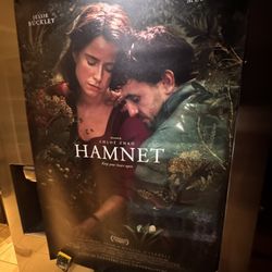 Exclusive Film Poster/ Movie Poster Hamnet