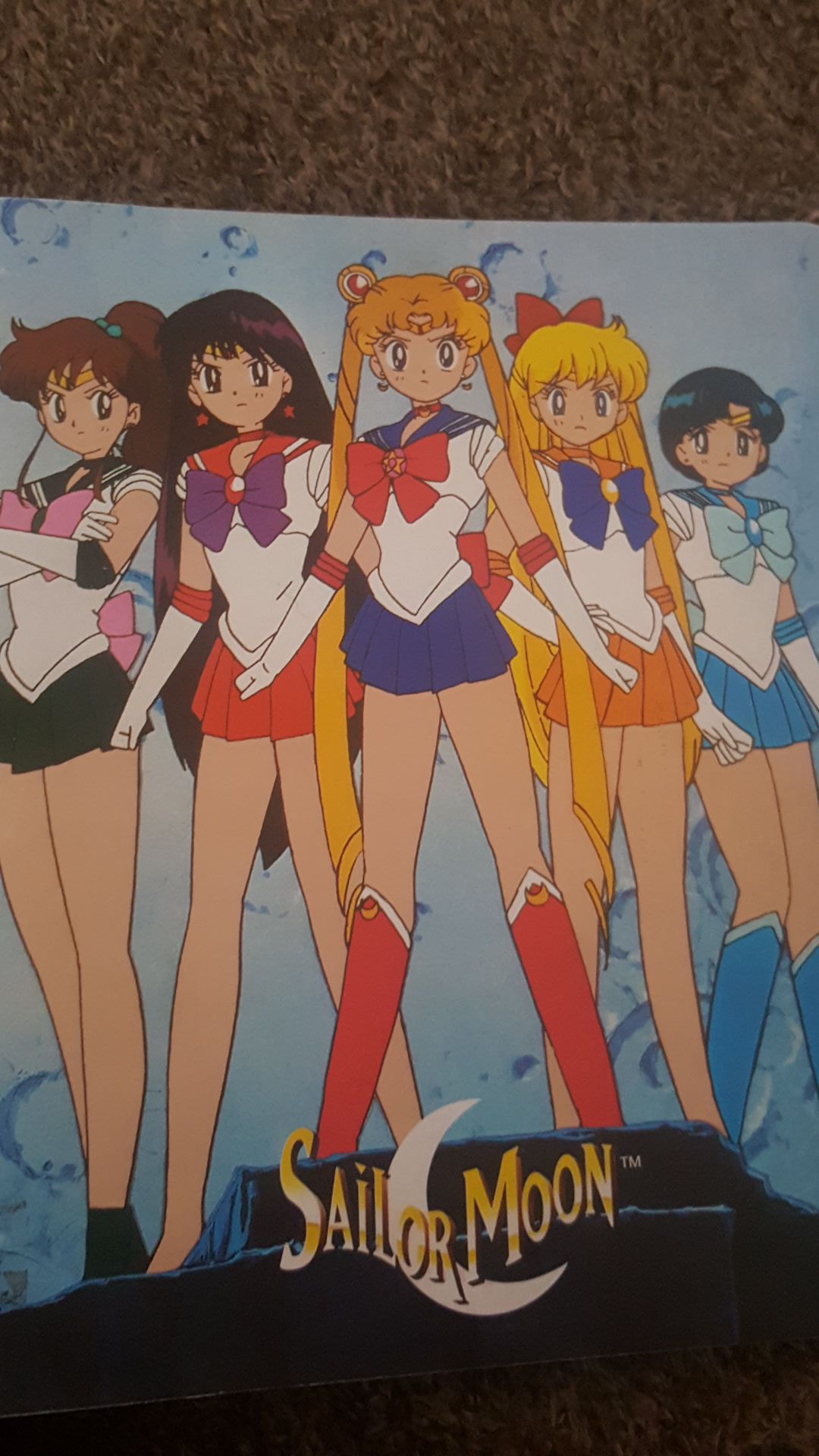 Sailor moon binder