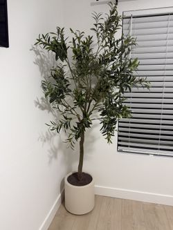 Potted Faux Olive Tree