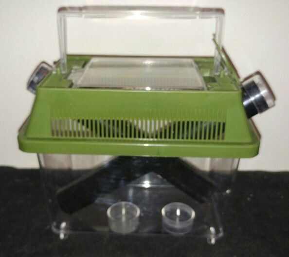 All Living Things Kricket Keeper Size Small Crickets For Sale In