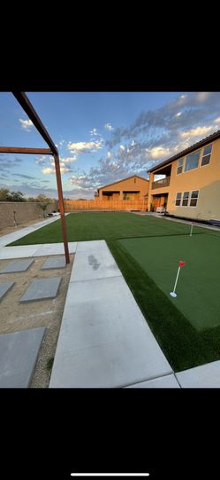 Turf Grass