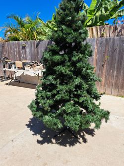 arbol