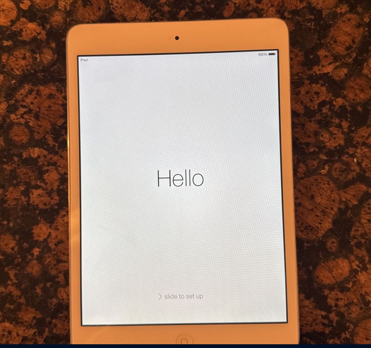 iPad Mini (1st Generation)