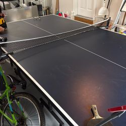 Ping Pong Table 