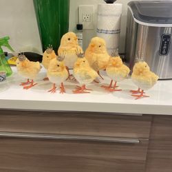 8 Chics Party decor baby shower