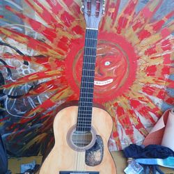 Synsonics Acoustic Guitar