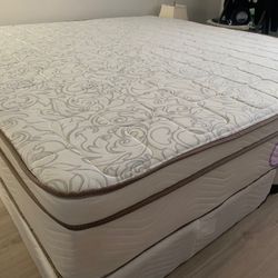 New King Mattress And Box Springs Bed Frame Is Not Included 