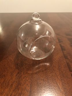 Hanging Glass Terrariums