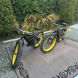 Electric Bike