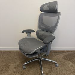 Ergonomic Desk Chair