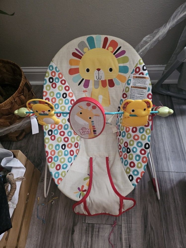 Baby Bouncer Baby Einstein