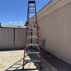 Husky 10 Ft Step Ladder