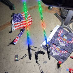 LED whip Lights