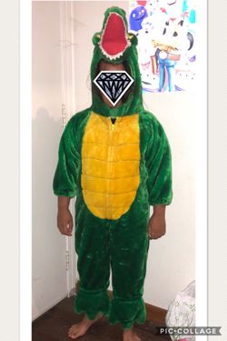 Dinosaur costume size 4-6