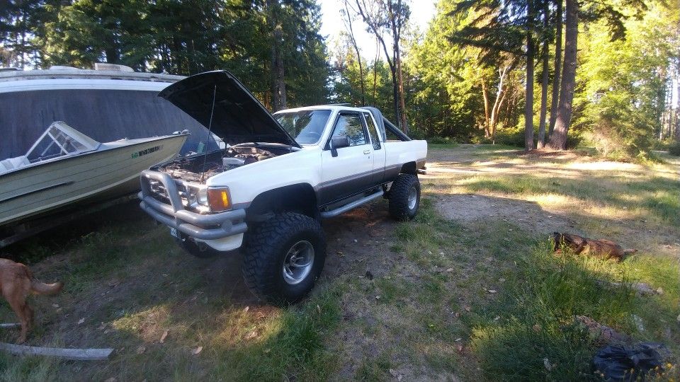 1986 Toyota Pickup