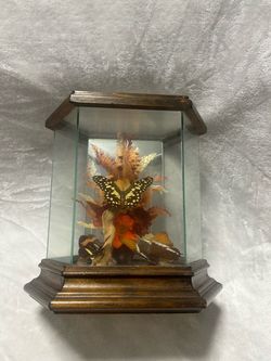 vintage wood glass mirror butterfly flowers diorama display case decor