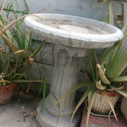 BirdBath /Fuente De Pajaritos