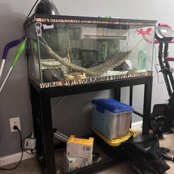 55 Gallon Tank With Stand 