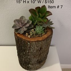 Hand Carved Wooden Succulent Planters- Great For Valentines Gift