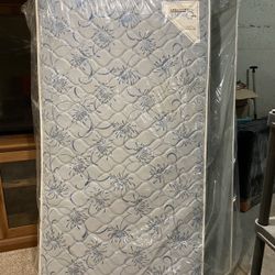 Twin Mattress and Box Spring - Moving Sale