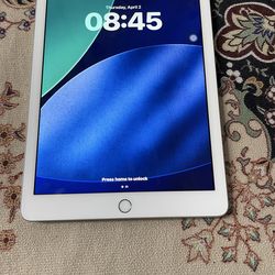 iPad in Mint Condition