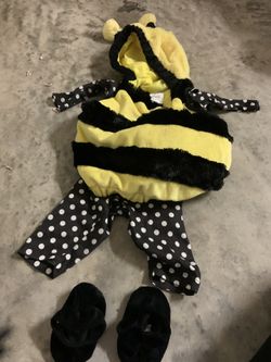 Tiny bee