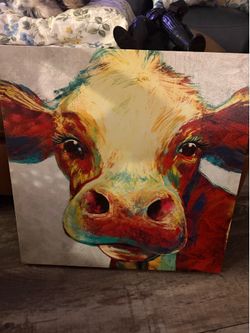 Cow Picture