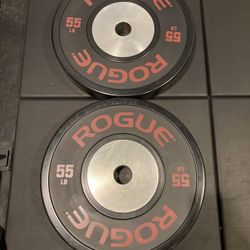 Rogue lb best sale training 2.0 plates