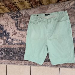 Men’s Mint Green Shorts – Size 42 