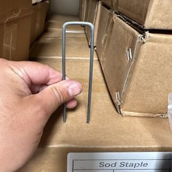 5 Inch Staples 