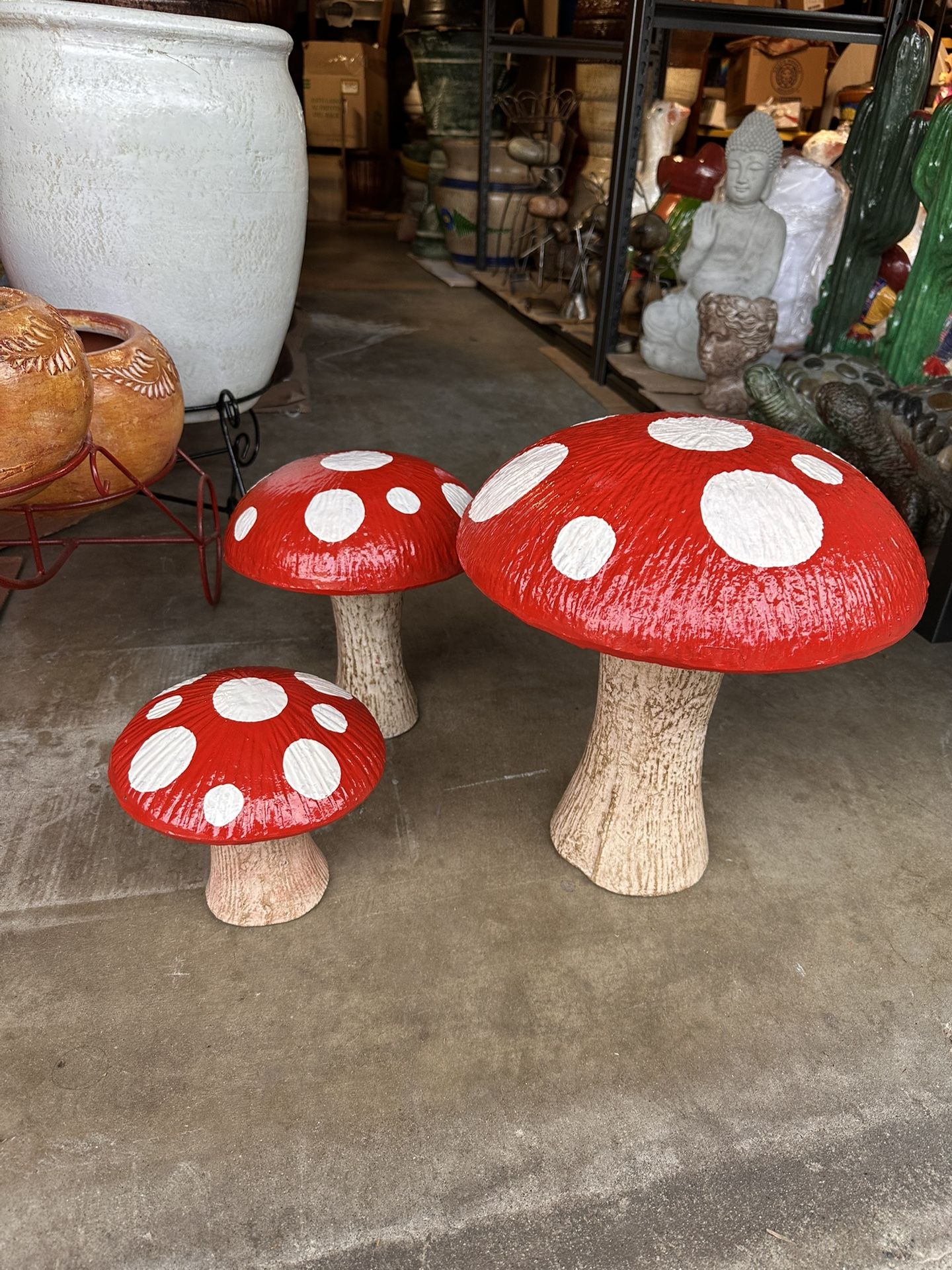 Mushrooms Cement