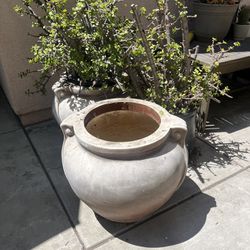Large Ceramic Pots With Plants Included