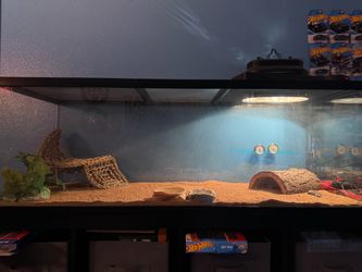 75 Gallon reptile tank with accessories