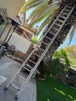 Ladder
